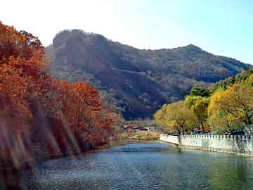 新澳天天开奖资料大全旅游团，犬瘟后期